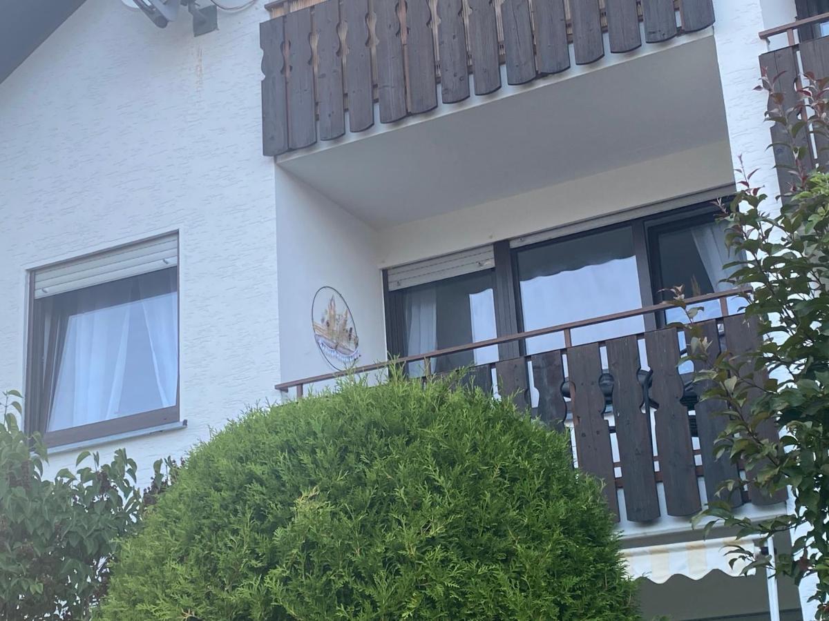Ferienwohnung Stryckliebe Willingen  Zewnętrze zdjęcie