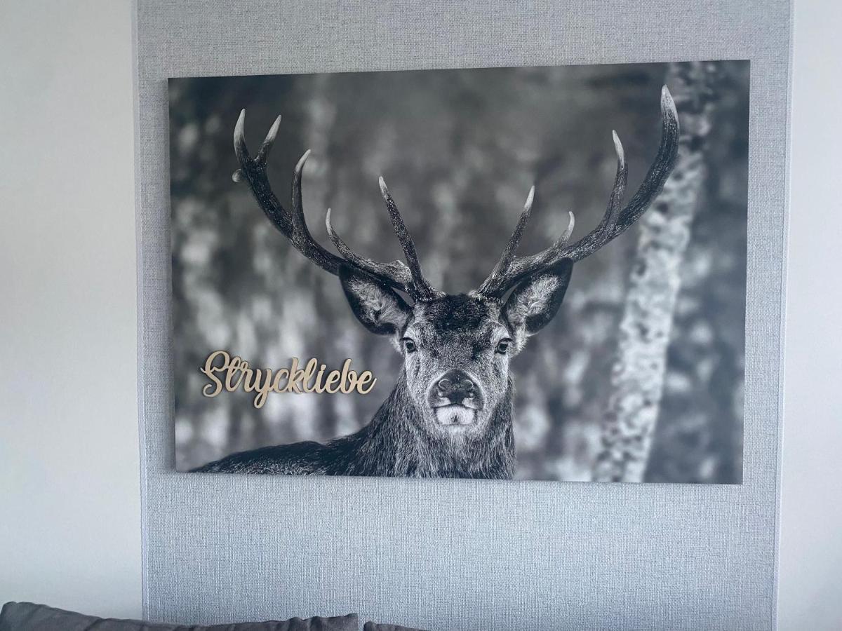 Ferienwohnung Stryckliebe Willingen  Zewnętrze zdjęcie