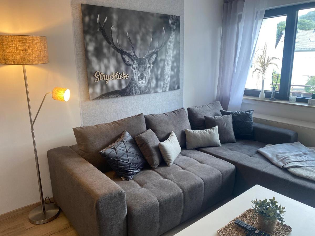 Ferienwohnung Stryckliebe Willingen  Zewnętrze zdjęcie